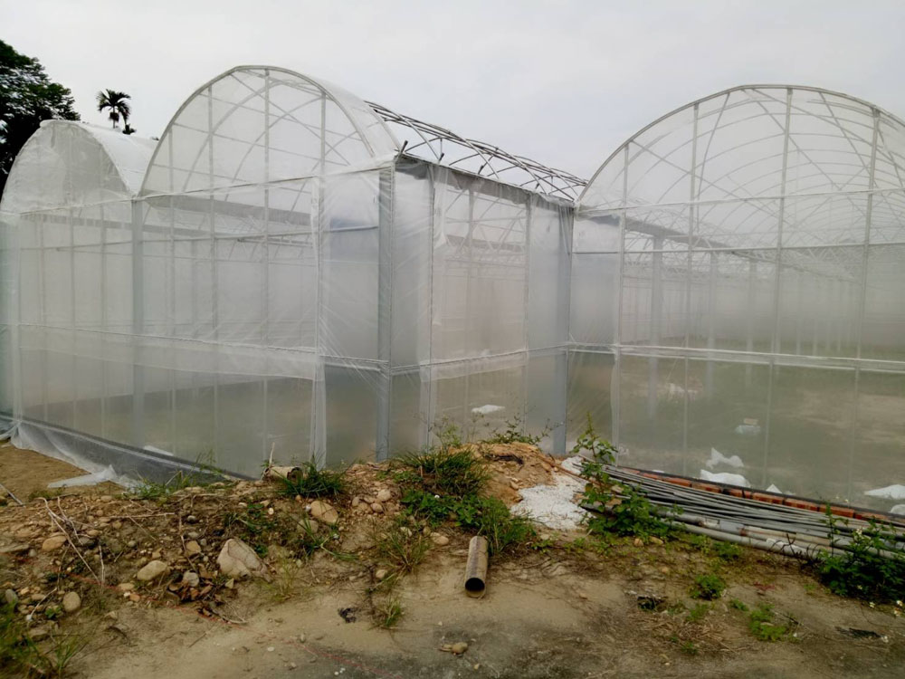 台中溫室工程規劃設計