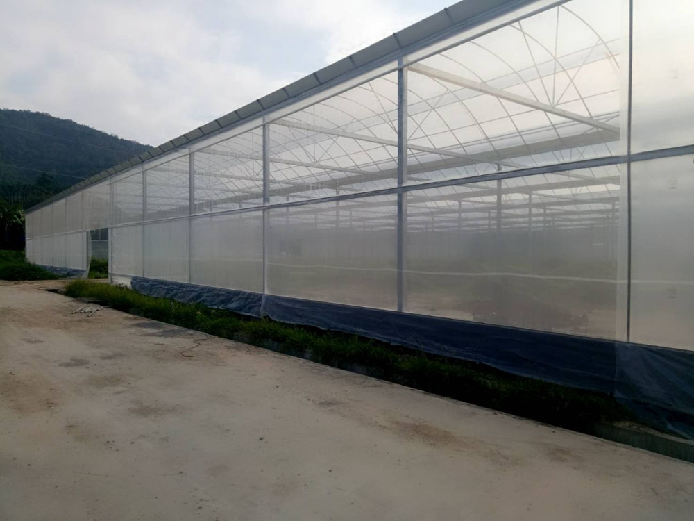 南投溫室工程
